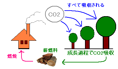 薪燃料を使用したときのCO2循環図